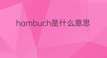 hambuch是什么意思 hambuch的中文翻译、读音、例句