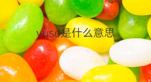 yuso是什么意思 yuso的中文翻译、读音、例句