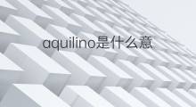 aquilino是什么意思 英文名aquilino的翻译、发音、来源