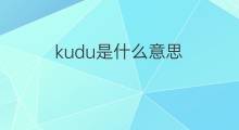 kudu是什么意思 kudu的中文翻译、读音、例句