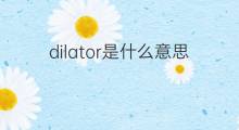 dilator是什么意思 dilator的中文翻译、读音、例句