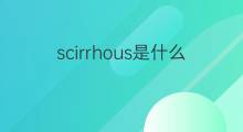 scirrhous是什么意思 scirrhous的中文翻译、读音、例句