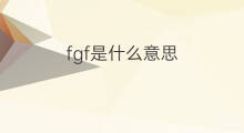 fgf是什么意思 fgf的中文翻译、读音、例句