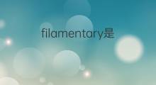 filamentary是什么意思 filamentary的中文翻译、读音、例句