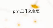 prnl是什么意思 prnl的中文翻译、读音、例句