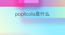 poplicola是什么意思 poplicola的翻译、读音、例句、中文解释