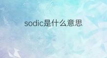 sodic是什么意思 英文名sodic的翻译、发音、来源