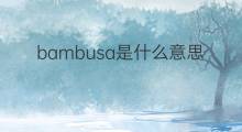 bambusa是什么意思 bambusa的中文翻译、读音、例句