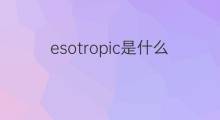 esotropic是什么意思 esotropic的中文翻译、读音、例句