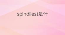 spindliest是什么意思 spindliest的中文翻译、读音、例句