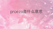 proeza是什么意思 proeza的中文翻译、读音、例句