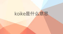 koike是什么意思 koike的中文翻译、读音、例句