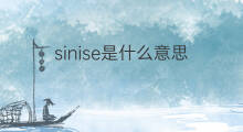 sinise是什么意思 sinise的中文翻译、读音、例句