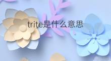 trite是什么意思 trite的中文翻译、读音、例句