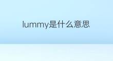 lummy是什么意思 lummy的中文翻译、读音、例句