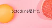 octodrine是什么意思 octodrine的中文翻译、读音、例句
