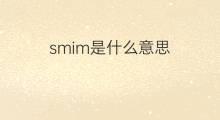 smim是什么意思 smim的中文翻译、读音、例句