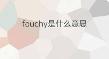 fouchy是什么意思 fouchy的中文翻译、读音、例句