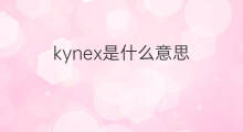 kynex是什么意思 kynex的中文翻译、读音、例句