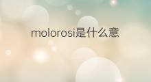 molorosi是什么意思 molorosi的中文翻译、读音、例句
