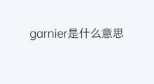 garnier是什么意思 garnier的中文翻译、读音、例句
