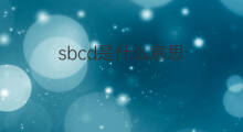 sbcd是什么意思 sbcd的翻译、读音、例句、中文解释