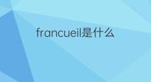 francueil是什么意思 francueil的中文翻译、读音、例句