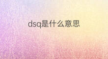 dsq是什么意思 dsq的中文翻译、读音、例句