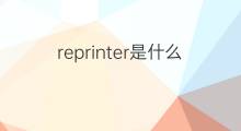 reprinter是什么意思 reprinter的中文翻译、读音、例句