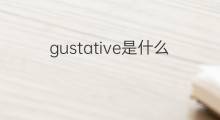 gustative是什么意思 gustative的中文翻译、读音、例句