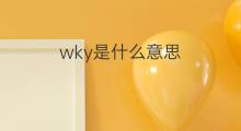 wky是什么意思 wky的中文翻译、读音、例句