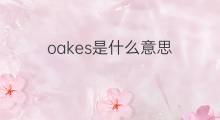 oakes是什么意思 oakes的中文翻译、读音、例句