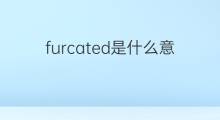 furcated是什么意思 furcated的中文翻译、读音、例句