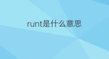 runt是什么意思 runt的中文翻译、读音、例句