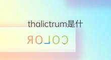 thalictrum是什么意思 thalictrum的中文翻译、读音、例句
