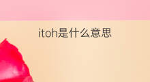 itoh是什么意思 itoh的中文翻译、读音、例句