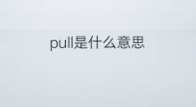 pull是什么意思 pull的中文翻译、读音、例句