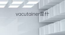 vacutainer是什么意思 vacutainer的中文翻译、读音、例句