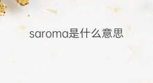 saroma是什么意思 saroma的中文翻译、读音、例句