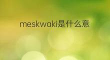 meskwaki是什么意思 meskwaki的中文翻译、读音、例句