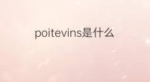 poitevins是什么意思 poitevins的中文翻译、读音、例句