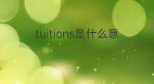 tuitions是什么意思 tuitions的中文翻译、读音、例句