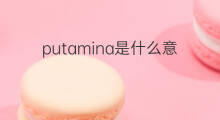 putamina是什么意思 putamina的中文翻译、读音、例句