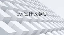 pvf是什么意思 pvf的中文翻译、读音、例句