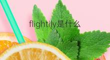 flightily是什么意思 flightily的中文翻译、读音、例句