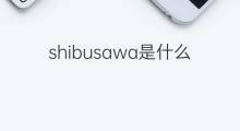 shibusawa是什么意思 shibusawa的中文翻译、读音、例句