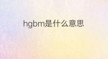 hgbm是什么意思 hgbm的中文翻译、读音、例句