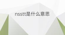 nsstt是什么意思 nsstt的翻译、读音、例句、中文解释