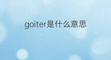 goiter是什么意思 goiter的中文翻译、读音、例句