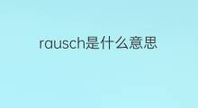 rausch是什么意思 rausch的中文翻译、读音、例句